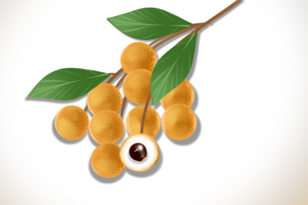 淀粉类食物含糖量高还是水果含糖量高 哪种水果含糖量高